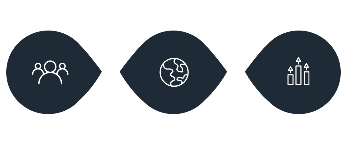 Triple bottom line