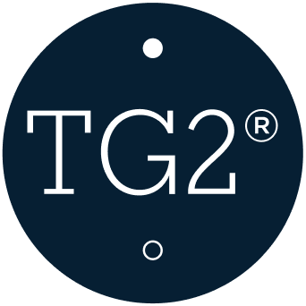 logo TG2